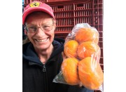 SPRAY FREE MANDARINS 1KG Bag - Katikati Grown SPRAY FREE MANDARINS 1KG Bag - Katikati Grown